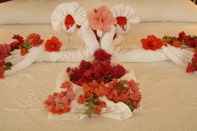 tryallclubxanadu0694