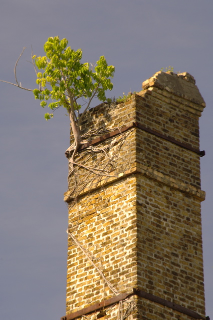 tryallclubjamaica0204