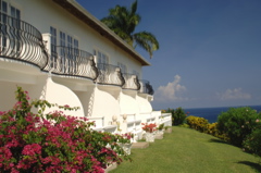 tryallclubjamaica0072