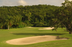 tryallclubjamaica0226