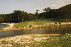 tryallclubjamaica0235